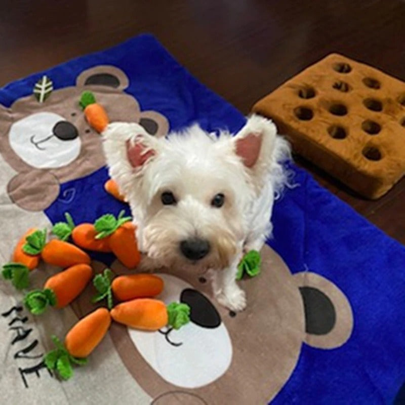 CARROT PLUSHIE™ - Enriches Your Dog's Life